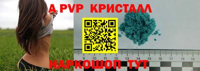 стафф Будённовск